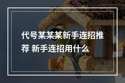 代号某某某新手连招推荐 新手连招用什么