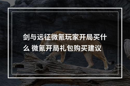 剑与远征微氪玩家开局买什么 微氪开局礼包购买建议