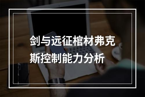 剑与远征棺材弗克斯控制能力分析