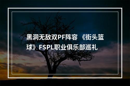 黑洞无敌双PF阵容 《街头篮球》FSPL职业俱乐部巡礼