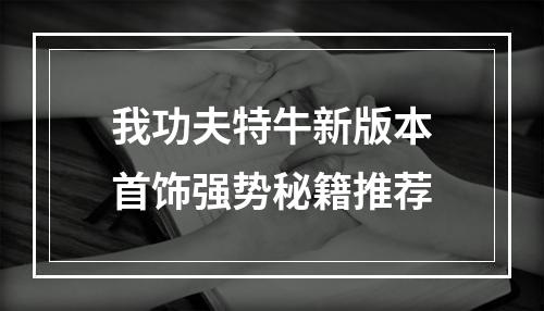 我功夫特牛新版本首饰强势秘籍推荐