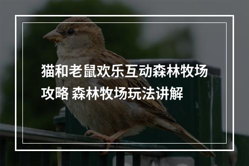 猫和老鼠欢乐互动森林牧场攻略 森林牧场玩法讲解