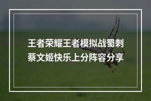 王者荣耀王者模拟战蜀刺蔡文姬快乐上分阵容分享