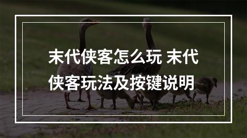 末代侠客怎么玩 末代侠客玩法及按键说明