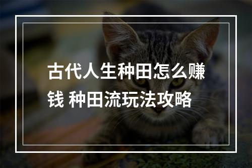 古代人生种田怎么赚钱 种田流玩法攻略