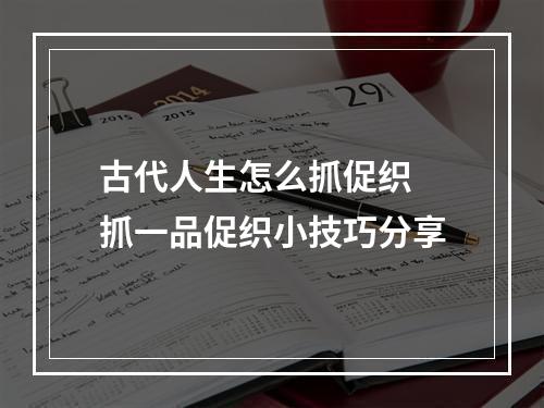 古代人生怎么抓促织 抓一品促织小技巧分享