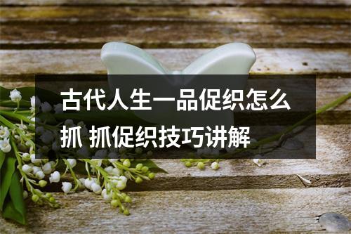 古代人生一品促织怎么抓 抓促织技巧讲解