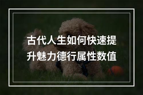 古代人生如何快速提升魅力德行属性数值