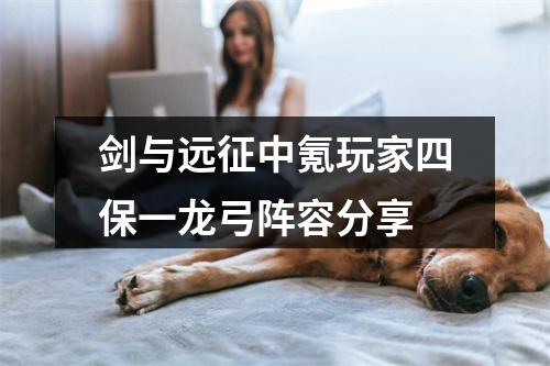 剑与远征中氪玩家四保一龙弓阵容分享