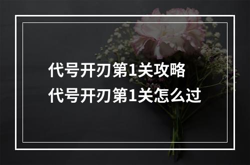 代号开刃第1关攻略 代号开刃第1关怎么过