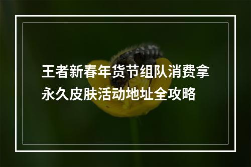 王者新春年货节组队消费拿永久皮肤活动地址全攻略