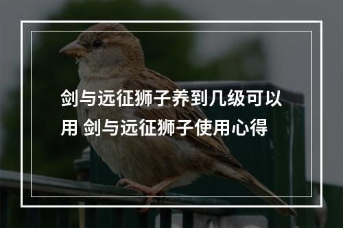 剑与远征狮子养到几级可以用 剑与远征狮子使用心得