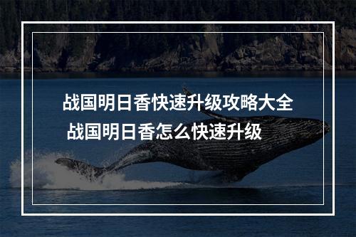 战国明日香快速升级攻略大全 战国明日香怎么快速升级