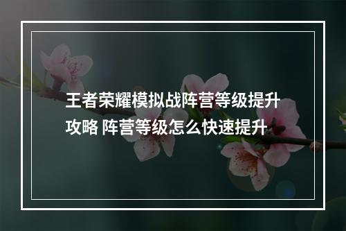 王者荣耀模拟战阵营等级提升攻略 阵营等级怎么快速提升