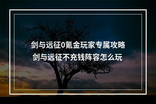 剑与远征0氪金玩家专属攻略 剑与远征不充钱阵容怎么玩