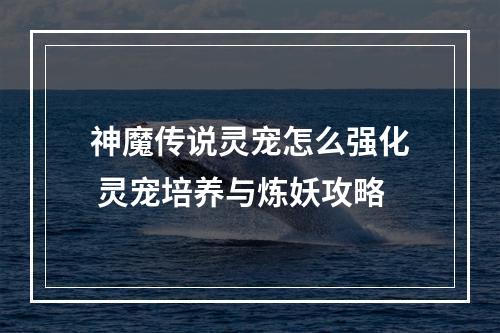 神魔传说灵宠怎么强化 灵宠培养与炼妖攻略