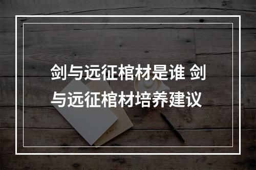 剑与远征棺材是谁 剑与远征棺材培养建议