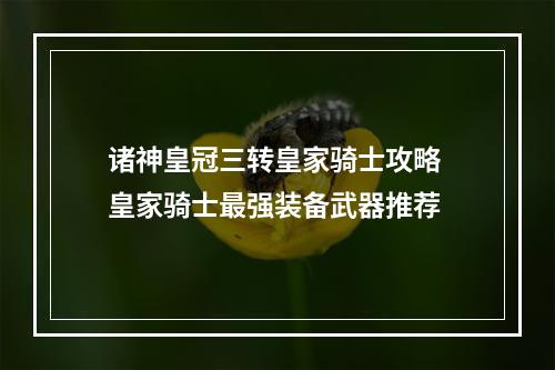 诸神皇冠三转皇家骑士攻略 皇家骑士最强装备武器推荐