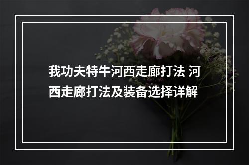 我功夫特牛河西走廊打法 河西走廊打法及装备选择详解