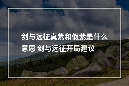 剑与远征真紫和假紫是什么意思 剑与远征开局建议