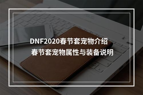 DNF2020春节套宠物介绍 春节套宠物属性与装备说明