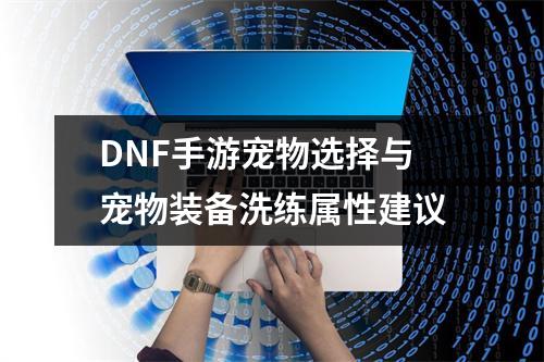 DNF手游宠物选择与宠物装备洗练属性建议