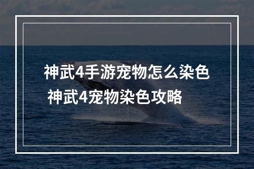 神武4手游宠物怎么染色 神武4宠物染色攻略