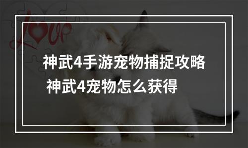 神武4手游宠物捕捉攻略 神武4宠物怎么获得