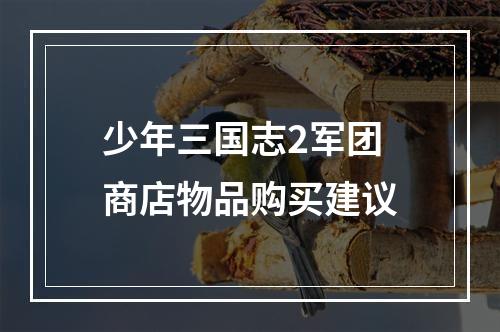 少年三国志2军团商店物品购买建议