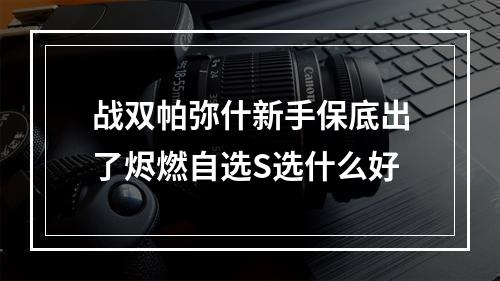 战双帕弥什新手保底出了烬燃自选S选什么好