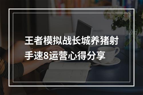 王者模拟战长城养猪射手速8运营心得分享