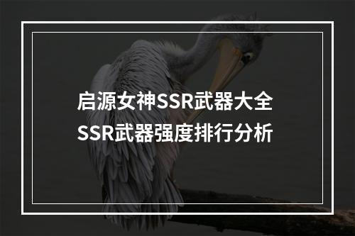 启源女神SSR武器大全 SSR武器强度排行分析