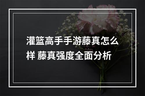 灌篮高手手游藤真怎么样 藤真强度全面分析