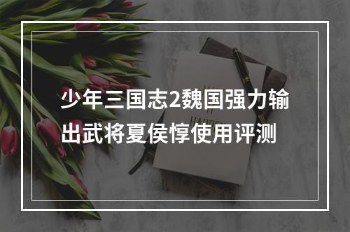 少年三国志2魏国强力输出武将夏侯惇使用评测