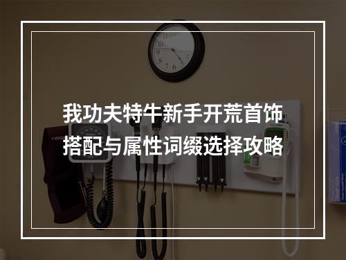 我功夫特牛新手开荒首饰搭配与属性词缀选择攻略