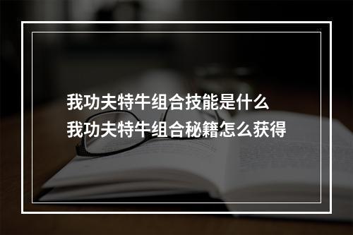 我功夫特牛组合技能是什么 我功夫特牛组合秘籍怎么获得