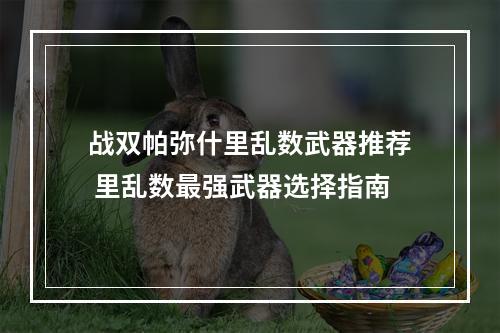 战双帕弥什里乱数武器推荐 里乱数最强武器选择指南