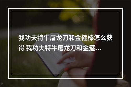 我功夫特牛屠龙刀和金箍棒怎么获得 我功夫特牛屠龙刀和金箍棒哪个好