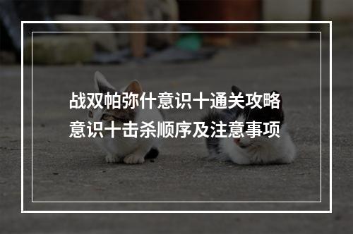 战双帕弥什意识十通关攻略 意识十击杀顺序及注意事项