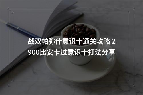 战双帕弥什意识十通关攻略 2900比安卡过意识十打法分享