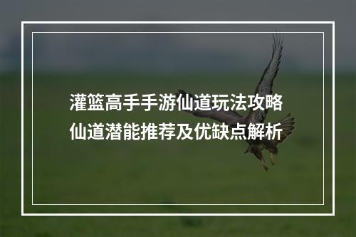 灌篮高手手游仙道玩法攻略 仙道潜能推荐及优缺点解析