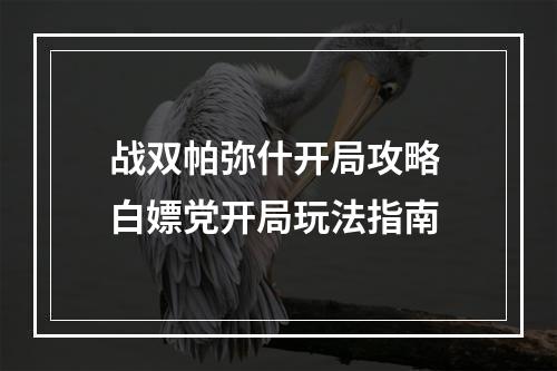 战双帕弥什开局攻略 白嫖党开局玩法指南