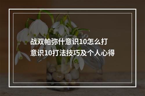 战双帕弥什意识10怎么打 意识10打法技巧及个人心得