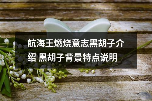 航海王燃烧意志黑胡子介绍 黑胡子背景特点说明