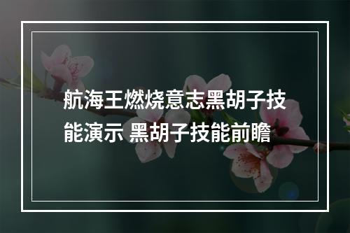 航海王燃烧意志黑胡子技能演示 黑胡子技能前瞻