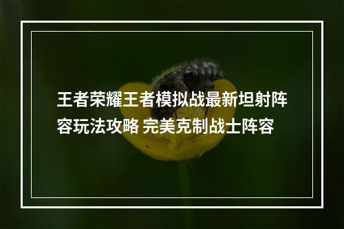 王者荣耀王者模拟战最新坦射阵容玩法攻略 完美克制战士阵容