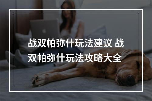 战双帕弥什玩法建议 战双帕弥什玩法攻略大全