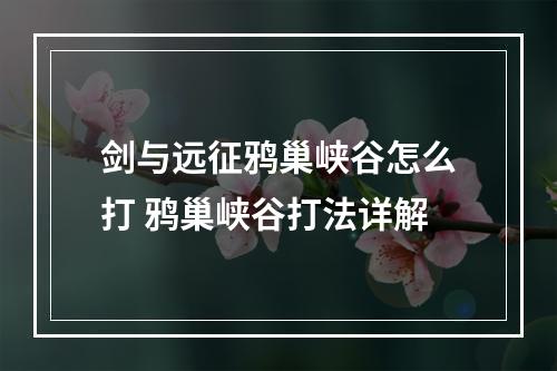 剑与远征鸦巢峡谷怎么打 鸦巢峡谷打法详解