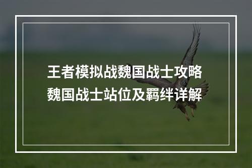 王者模拟战魏国战士攻略 魏国战士站位及羁绊详解