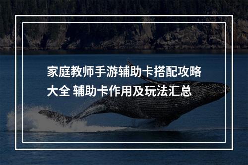 家庭教师手游辅助卡搭配攻略大全 辅助卡作用及玩法汇总